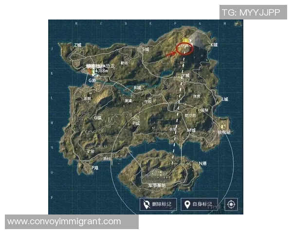 和平精英战术分析：RNG中路突破策略及其影响探讨