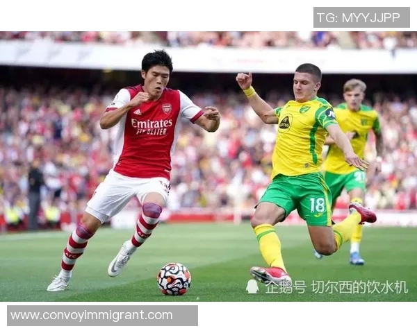 吴强独家分享排球心得与技巧提升之道让你在赛场上大放异彩