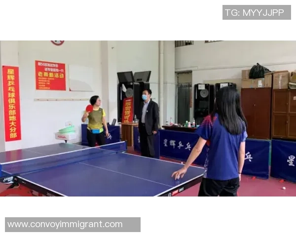 乒乓球的魅力与精神：深入深圳乒乓球队的训练与文化探索