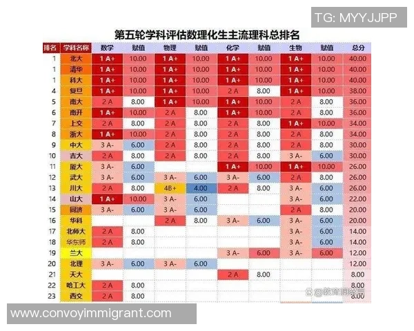 南京排球队实力强劲荣登全国第四名引发关注与期待