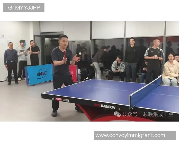 成都乒乓球队的默契配合与战术探讨助力团队实力提升