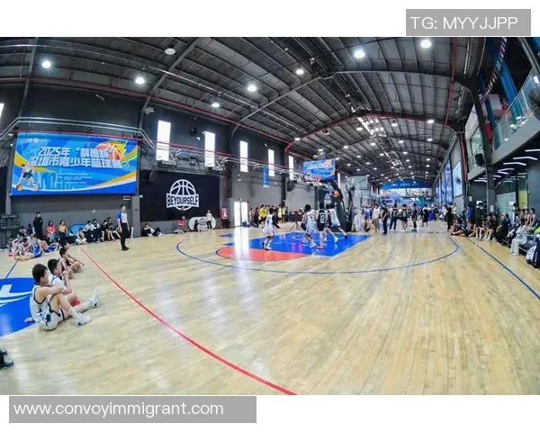 深圳篮球队技术实力强劲荣登全国篮球技术排行榜第三名